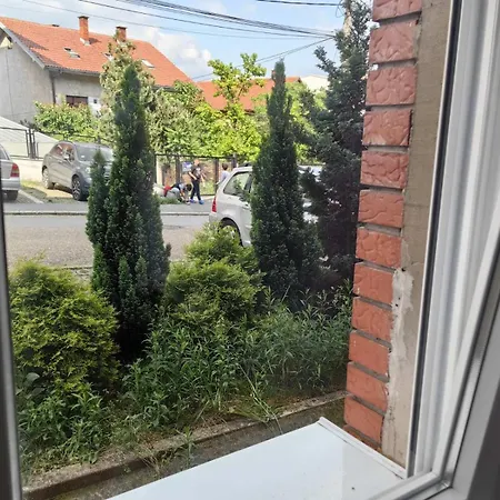 Forest Apartment Belgrade